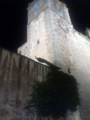 IMG_20160711_225659972